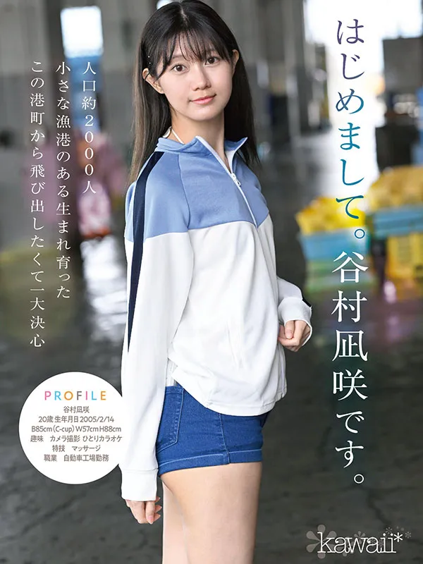 AV女演員Tanimura Nagisa