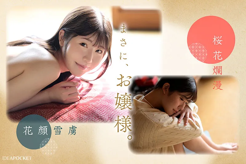AV女優坂井美櫻